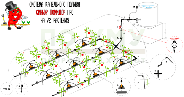 Система капельного полива СИНЬОР ПОМИДОР ПРО на 72 растения с шаровым таймером с ЖК-дисплеем 8 программ в Москве